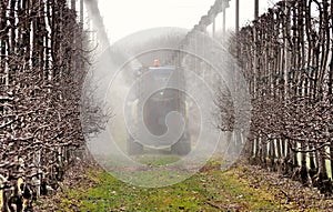 A sprayer machine sprinkles pesticides in an apple orchard in the first days of springtime. Back view