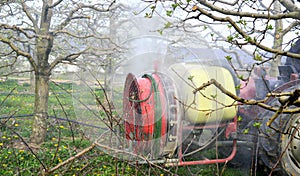 spraying apple orchard in spring image
