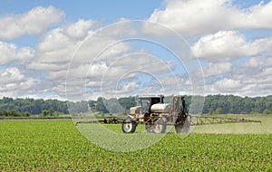 Spraying Corn Crop