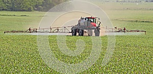 Spraying a Corn Field