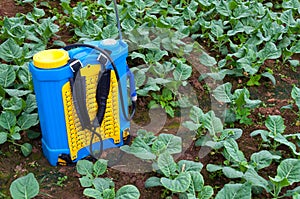 Spraying Fertilizer. Hand-pumped sprayer, Using pesticides on the garden photo