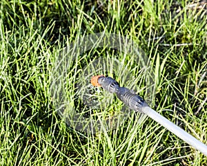 Spraying herbicide from the nozzle of the sprayer manual