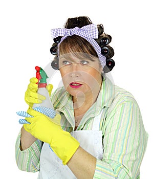 Spraying Housewife photo