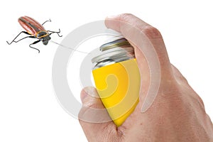 Spraying insecticide on cockroach