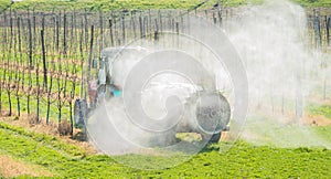 Spraying orchard