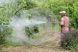 Spraying pesticide