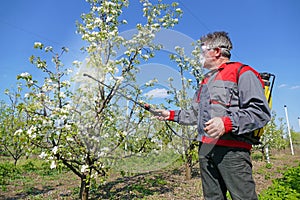 Spraying pesticide