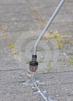 Spraying pesticide with portable sprayer to eradicate garden weeds