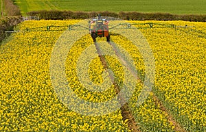 Spraying Rapeseed crop