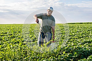 Spraying soybean field