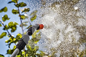 Spraying trees against pests