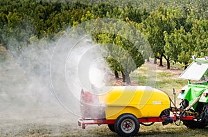 Spraying trees in fruit orchard