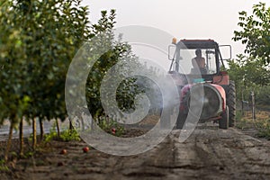 Spraying trees in fruit orchard against deceases