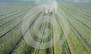 Spraying trees orchard