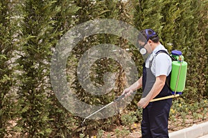 Spraying trees- pest control