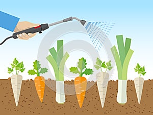 Spraying Vegetables With Dangerous, Chemical Substances photo