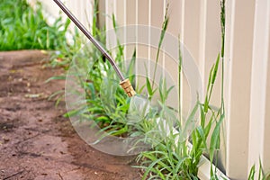 Spraying weed killer herbicide to control unwanted plants and grass on a backyard. Building exterior