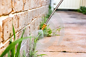 Spraying weed killer herbicide to control unwanted plants and grass on a backyard. Building exterior