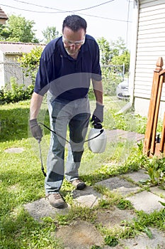 Spraying Weed Killer On A Patio