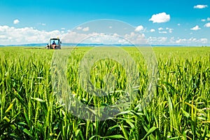 Spraying wheat crops field, agricultural landscape.