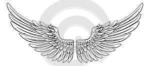 Spread Pair Of Angel Or Eagle Feather Wings