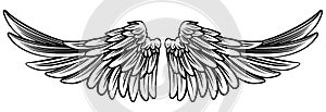 Spread Pair of Angel or Eagle Wings