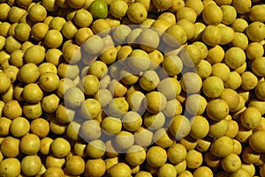 Spread of Small Lemon or Citrus fruits
