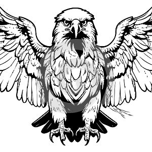 Spread-winged eagle depicted in detailed line art