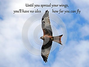 Spread your wings and Fly - Inspirational Quote Napoleon