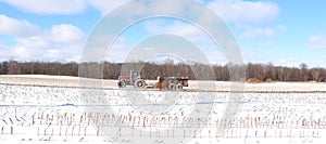 Spreading fertilizer manure on winter snow covered agriculture crop corn field