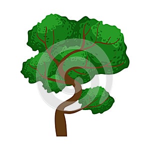 Spreading green tree, element of a landscape. Colorful cartoon vector Illustration