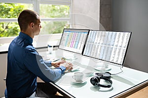 Spreadsheet Analyst Employee