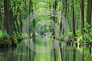 Spree Forest landscape in Brandenburg photo