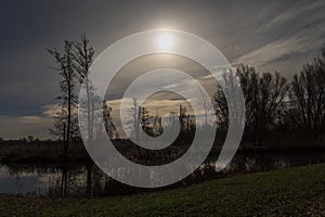 Spree forest by moonlight in January