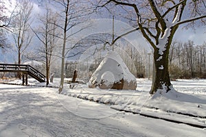 Spreeforest in cold winter