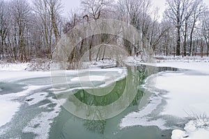 Spreeforest in cold winter