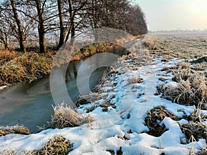 Spreeforest in cold winter