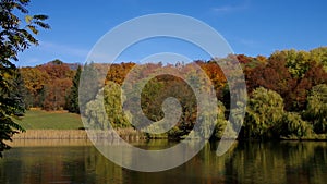 Spremberg the swan lake in autumn
