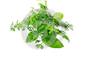 Sprig of aromatic herbs