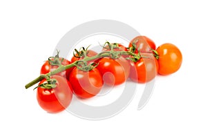 Sprig of cherry tomatoes isolated on white background.