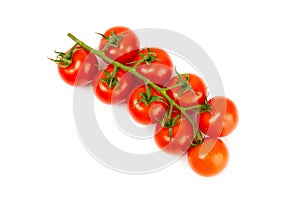 Sprig of cherry tomatoes isolated on white background.