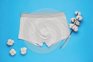 A sprig of dry cotton and light men`s underpants on a blue background. Minimal concept of men`s underwear