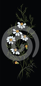 Sprig of field chamomile