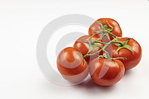 A sprig of fresh, beautiful, red tomatoes isolated on a white background.