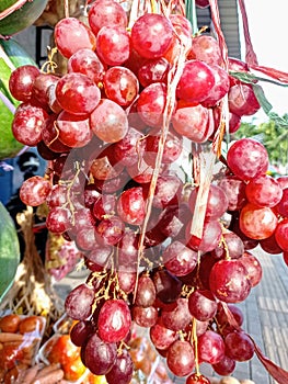 A Sprig of Grapes