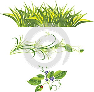 Sprig, grass and ladybird