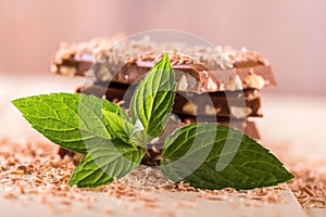 Sprig of mint in front of chocolate stack with many sweet shavings