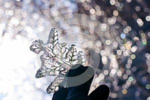 Sprig of pine needles in the ice, frost, bokeh.