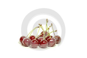 Sprig with red cherries 3