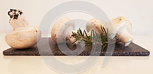 Sprig of rosemary with mushrooms on a black kitchen board on a white background.